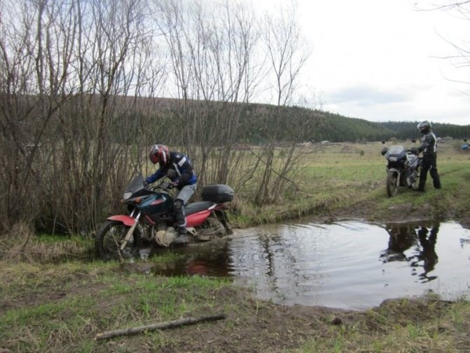 Suzuki xf 650 Freewind Отзывы Владельцев • Honda xlv 700 transalp
